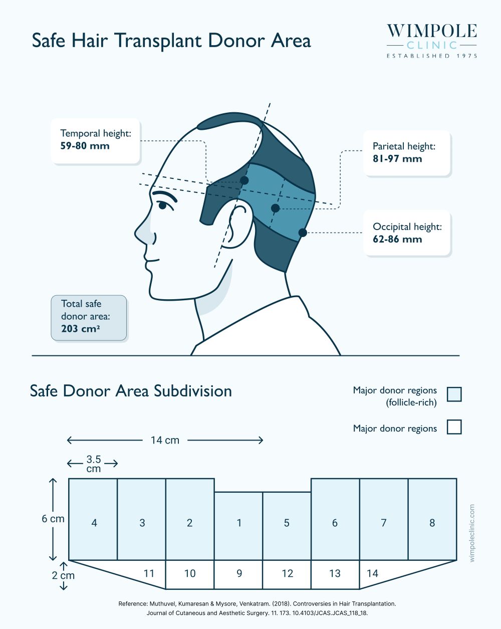 Safe Hair Transplant Donor Area (2)