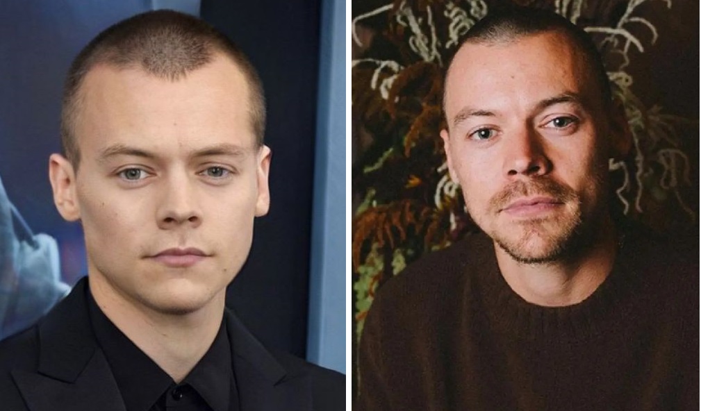 Harry Styles&rsquo; buzz cut (2023)