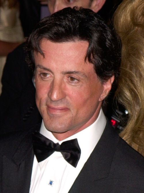Sylvester Stallone&rsquo;s hair in 2000