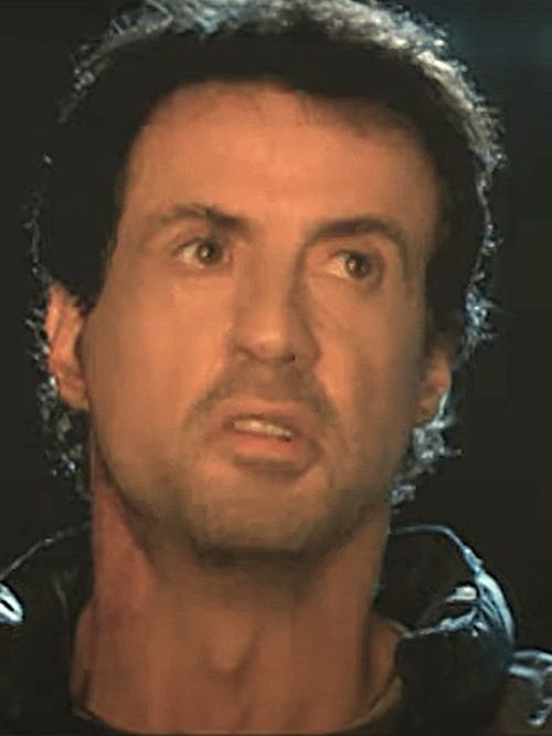Sylvester Stallone&rsquo;s hair in 2002