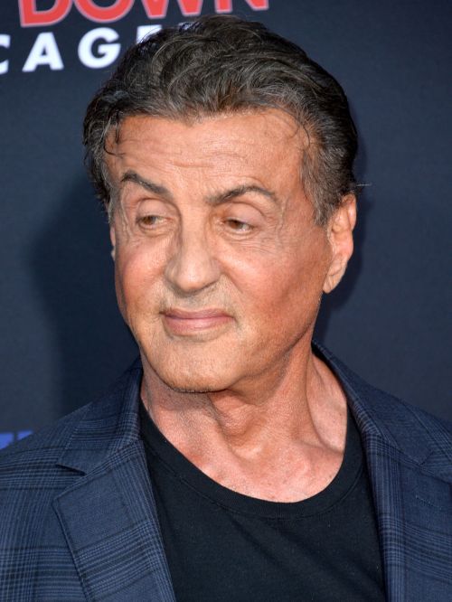 Sylvester Stallone&rsquo;s hair in 2019