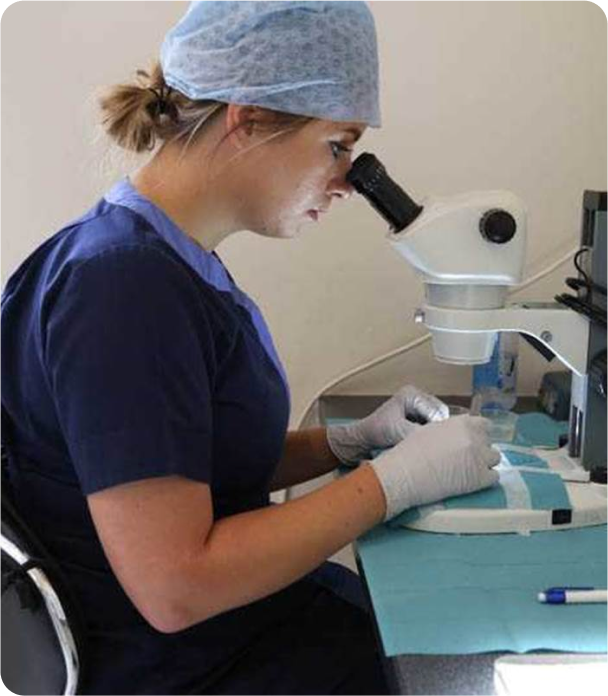Female Hair Loss Diagnosis & Treatment, Wimpole Clinic